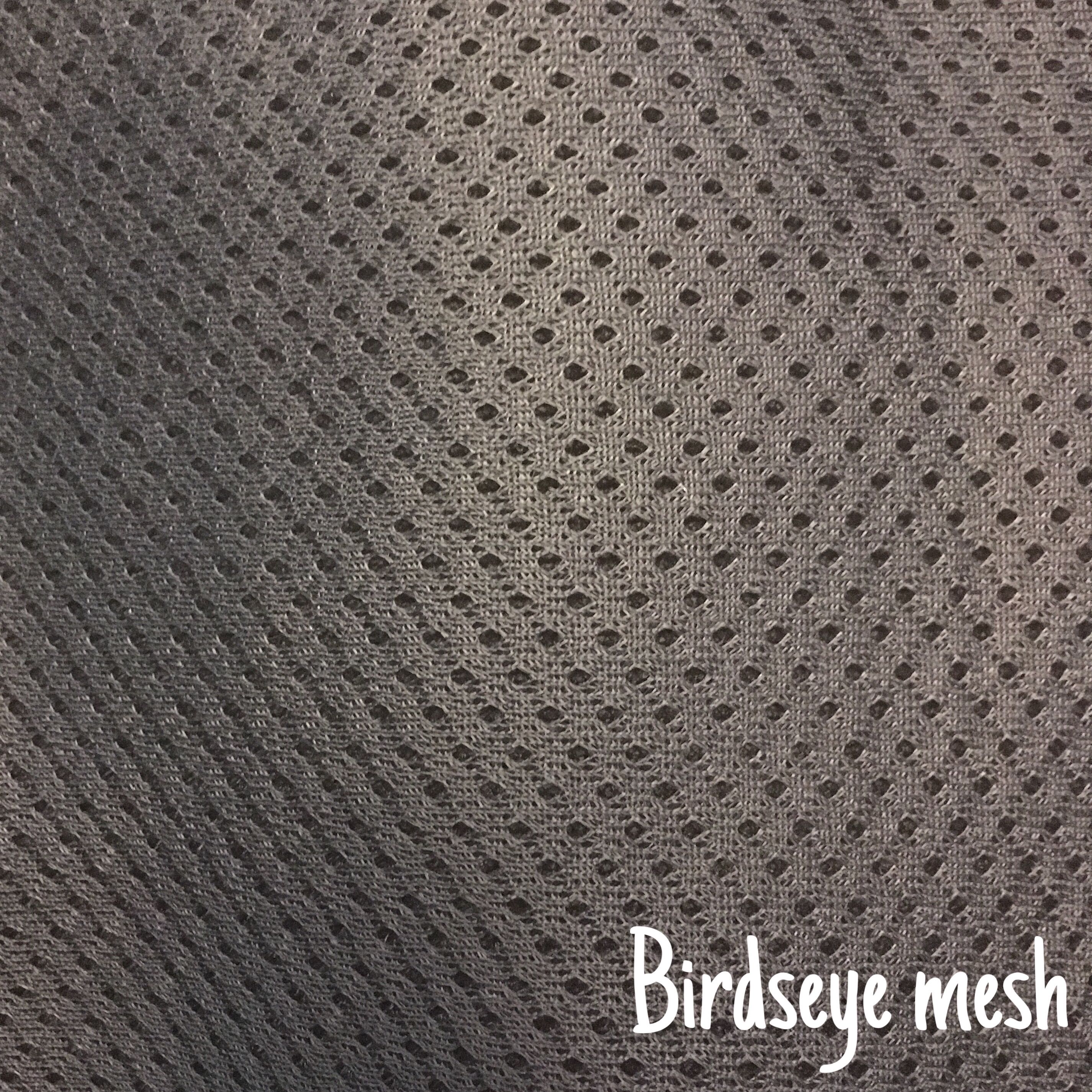 Birdseye_mesh.jpg